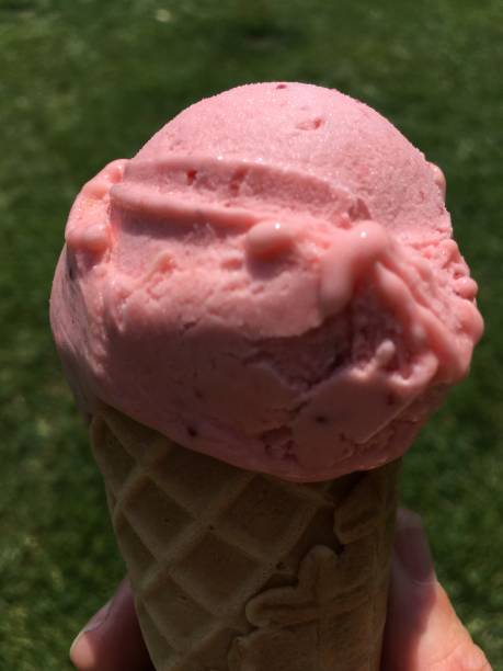 istock Italian ice cream of different flavors 1248524343