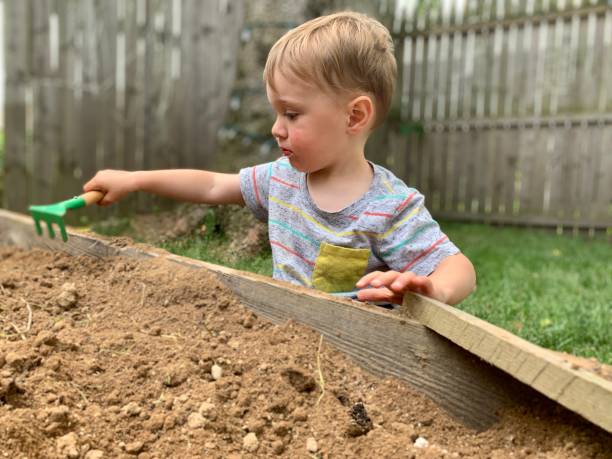 istock Toddler Boy Playing in Dirt 1248525299
