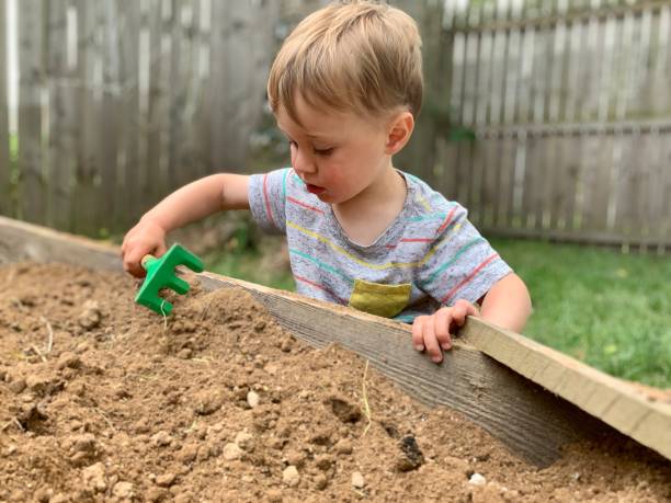 istock Toddler Boy Playing in Dirt 1248525301