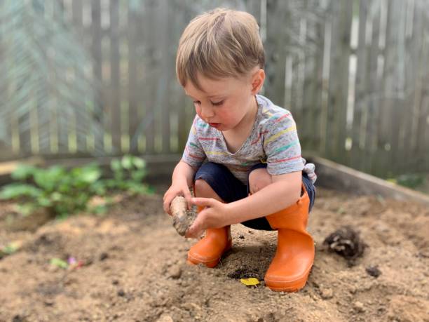 istock Toddler Boy Playing in Dirt 1248525835