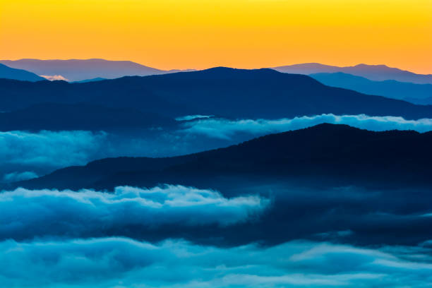 스모키의 골든 아워 - great smoky mountains great smoky mountains national park fog mountain 뉴스 사진 이미지