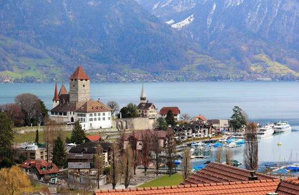 Spiez harbour, Spiez Castle and Lake Thun. Switzerland, Europe. Spiez, Switzerland - March 07, 2020: Visiting Spiez town on a sunny morning in March. Spiez is located on the southern shore of Lake Thun. thun interlaken winter switzerland stock pictures, royalty-free photos & images