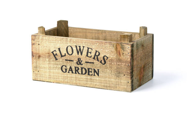 istock empty Wooden box for flowers isolated 1248528535