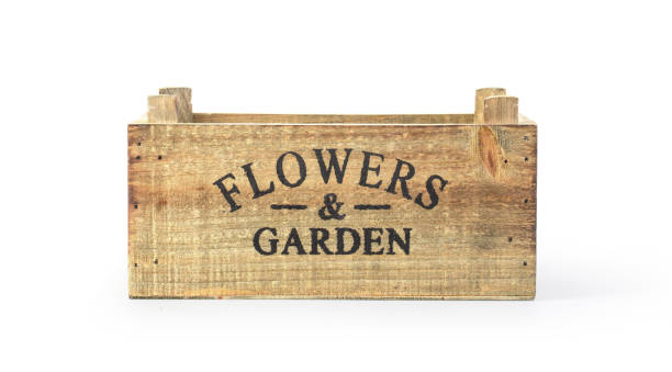 istock Wooden box for flowers isolated 1248528536