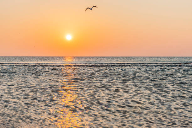 istock beautiful sunset by the sea 1248529406