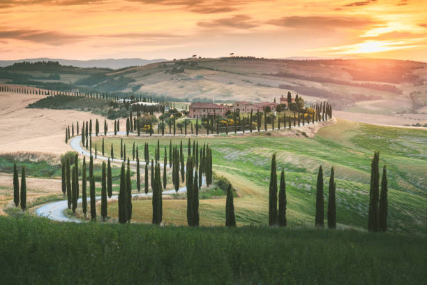 paisaje pintoresco de la toscana con colinas y valles ondulantes en luz dorada de la mañana san casciano dei bagni en val d'orcia, italia - tuscan cypress fotografías e imágenes de stock