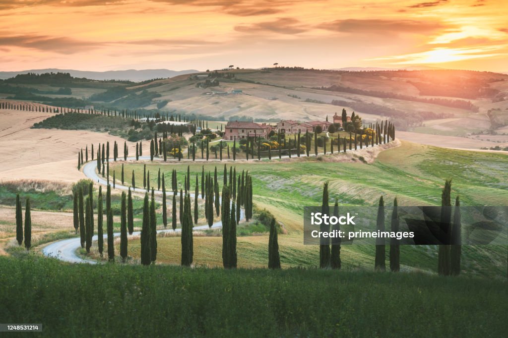 Scenic Tuscany landscape with rolling hills and valleys in golden morning light San Casciano dei Bagni in Val d'Orcia, Italy sunset and rural landscape view of green top hill farms of olive groves and vineyards typical curved road with cypress at Crete Senesi in Toscana, Italia, Europe Tuscany Stock Photo