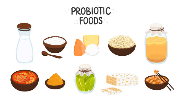 ilustraciones, imágenes clip art, dibujos animados e iconos de stock de alimentos probióticos vectoriales. mejores fuentes de probióticos. las bacterias beneficiosas mejoran la salud. los elementos aislados son para la etiqueta - symbiotic relationship illustrations