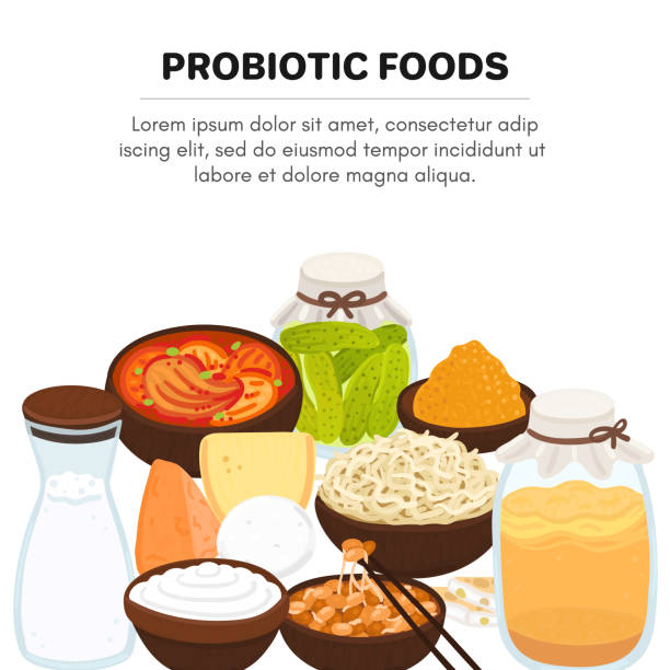 Vector probiotic foods. Best sources of probiotics. Beneficial bacteria improve health. Design is for label, brochure Vector probiotic foods. Best sources of probiotics. Beneficial bacteria improve health. Design is for label, brochure, menu, poster, advertising banner, article about diets, healthy proper nutrition kombucha jar stock illustrations