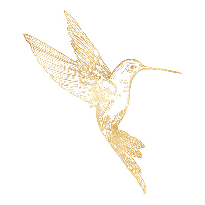 Gold Bee Hummingbird Isolated. Hand Painted Clip Art Design Element.