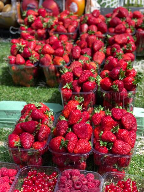 istock strawberries in boxes on the counter 1248535191