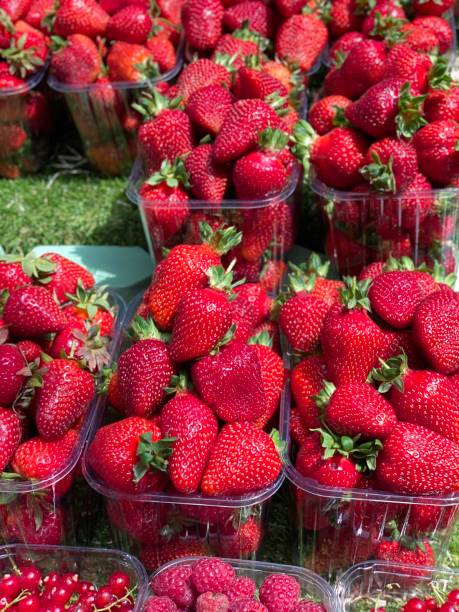 strawberries in boxes on the counter
