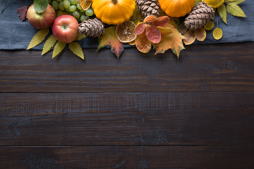 Still life of pumpkin and colorful maple leaves on wooden board. Fall pattern. Top view. Thanksgiving Day. Space for text