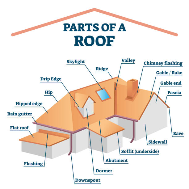 illustrazioni stock, clip art, cartoni animati e icone di tendenza di parti di un tetto, illustrazione vettoriale della struttura etichettata - eaves