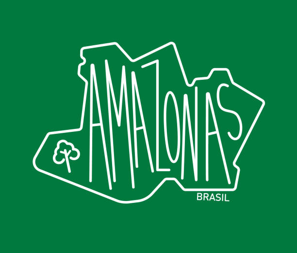 geometrische karte des brasilianischen bundesstaates amazonas - amazonia stock-grafiken, -clipart, -cartoons und -symbole