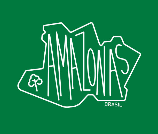 Geometric map of the brazilian state of Amazonas A cartoon geometric map with lettering and symbols of a brazilian state amazon stock illustrations