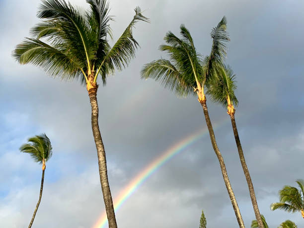 istock Hana, Maui, USA 1248542580