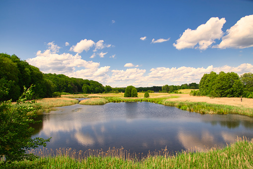 Scenic view of canal in the Netherlands in spring  at sunset