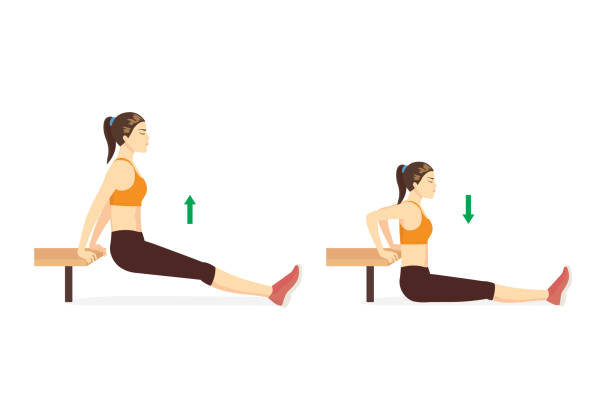Sport woman doing hip fitness with Bench dip with legs straight in 2 steps. Exercise diagram. Sport woman doing hip fitness with Bench dip with legs straight in 2 steps. Exercise diagram about a very challenging workout with a chair. chest dip on athletic workout stock illustrations