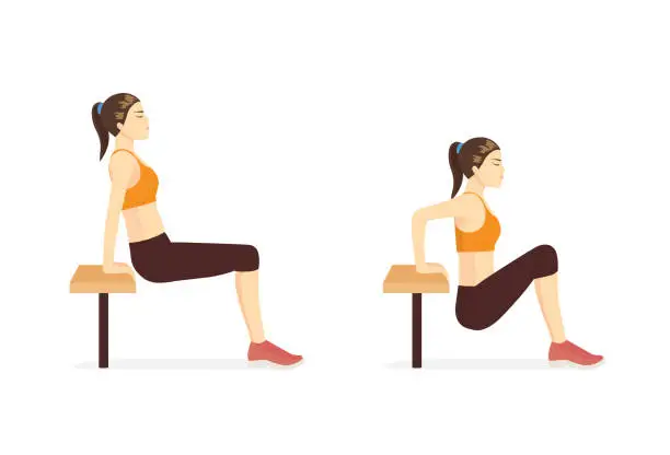 Vector illustration of Woman doing Hip Dip Fitness with bench in 2 steps for exercise guide. Fit triceps brach ii muscle.