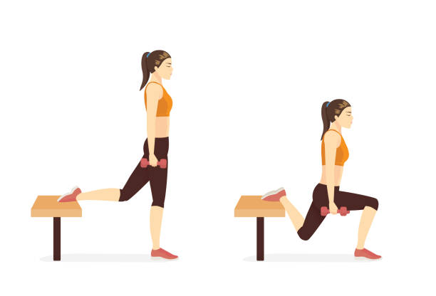 Sport woman doing the Bulgarian Split Squat with Bench and dumbbell in 2 steps. Fitness diagram about a very challenging workout. Sport woman doing the Bulgarian Split Squat with Bench and dumbbell in 2 steps. Fitness diagram about a very challenging workout with exercise equipment. proper gym attire stock illustrations