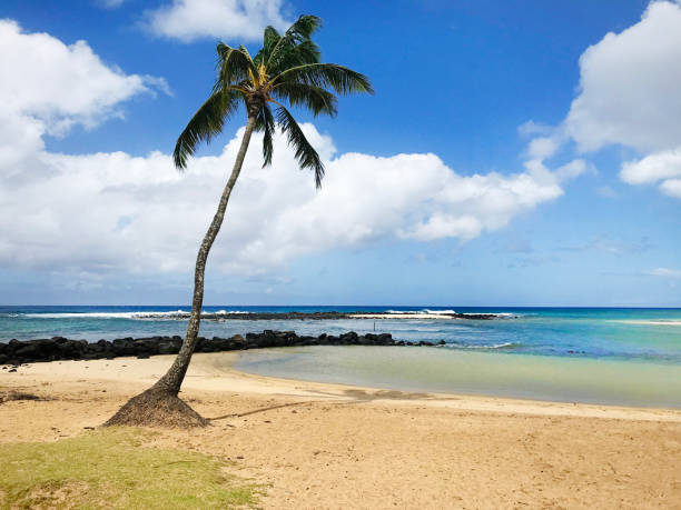 istock Poipu Beach of Kauai Hawaii 1248545871