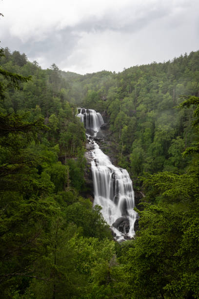 upper whitewater falls - vertical forest national forest woods foto e immagini stock