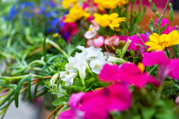 istock Flowers on the terrace 1248548669