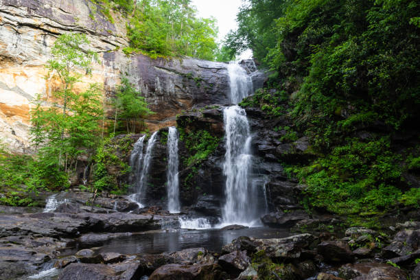 хай-фолс - blue ridge mountains stream forest waterfall стоковые фото и изображения