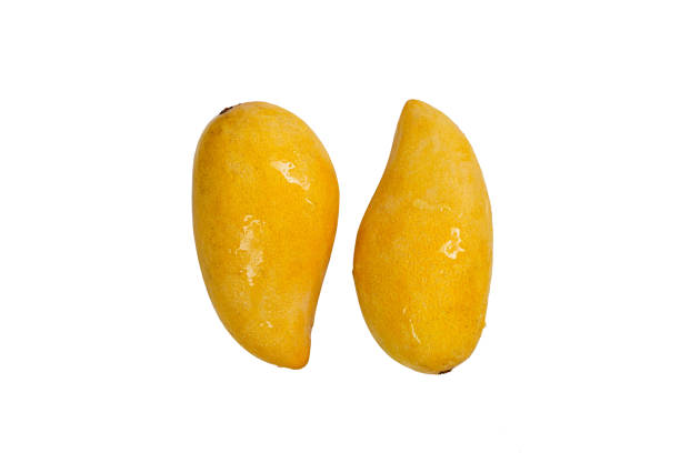 istock Ripe Two Mangos on Isolated White Background. Healthy Concept. 1248549020