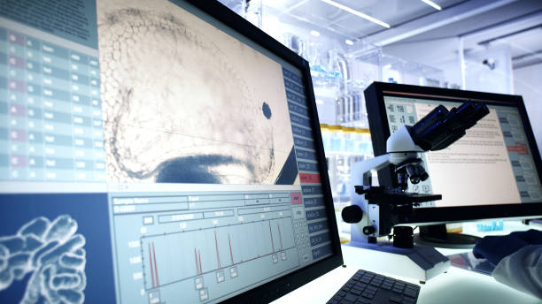 istock Science Laboratory Research. Water flea daphnia on Computer Screen 1248549047