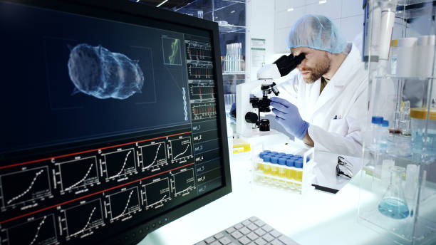 istock Scientist in Laboratory Research. Water flea daphnia on Computer Screen 1248549148