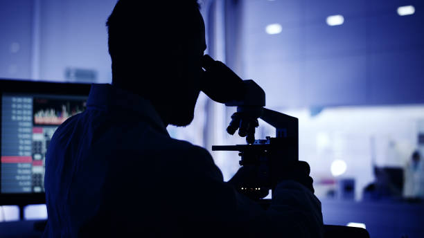 istock Scientist Silhouette in Laboratory Research. Brainwave scanning on Computer Screen 1248549187