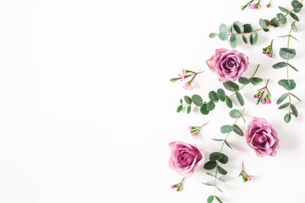 Flowers composition. Pattern made of eucalyptus branches and rose flowers on white background. Flat lay, top view, copy space