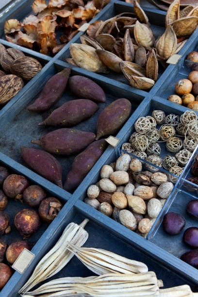 istock Grains and dried fruits 1248554474
