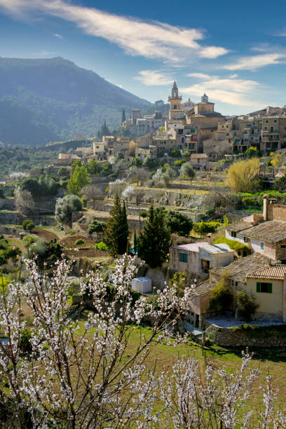 istock Mallorca, View of Valldemossa 1248555086