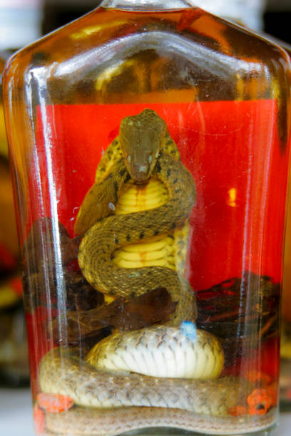 snake-whisky-at-the-the-golden