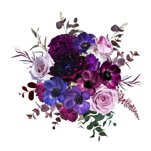 illustrazioni stock, clip art, cartoni animati e icone di tendenza di meraviglioso anemone viola, viola e bordeaux, malva polverosa e rosa lilla, dahlia scura - lavender lavender coloured bouquet flower