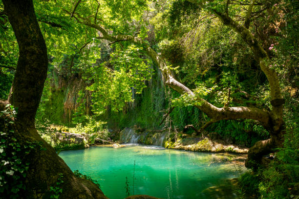cascada kursunlu, antalya - waterfall antalya turkey forest fotografías e imágenes de stock