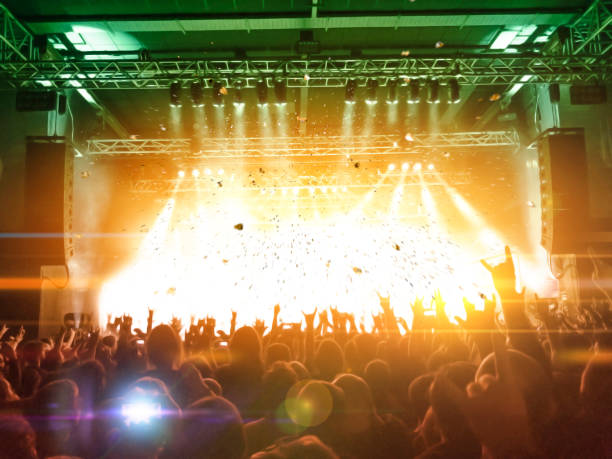 istock Concert crowd point of view 1248561739