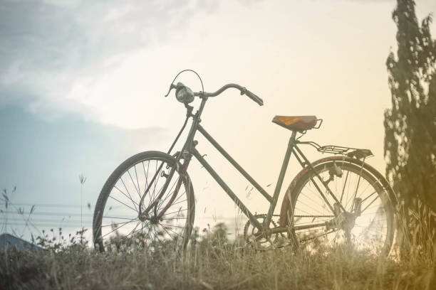 istock Vintage Bicycle with Summer grass field at sunset. 1248564751