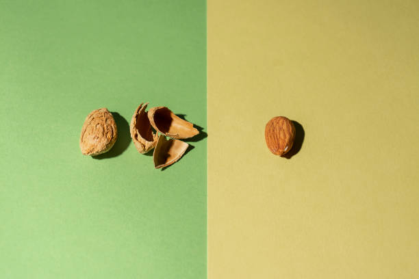 Whole fresh almond in its shell