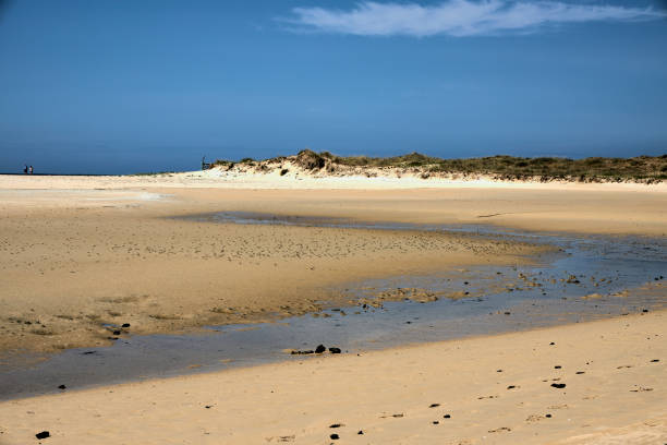 istock Beach with large dunes in an environmental protected area 1248568620