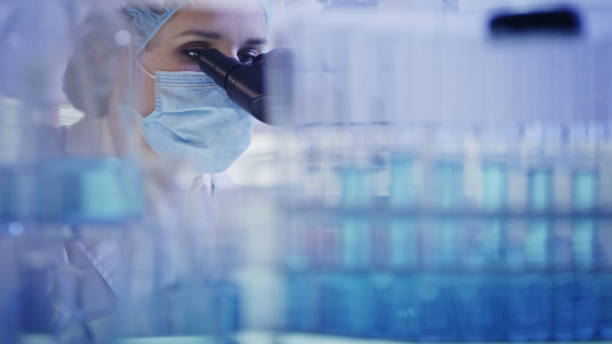 working with biohazardous substance. woman using microscope. looking through glassware - bio hazard imagens e fotografias de stock