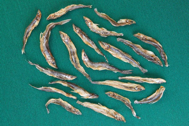 A school of dried fish on green background. Salty appetizer, school of stockfish on a green background. A flock of dried smelt on a table with emerald cloth. fish dead dead body dead animal stock pictures, royalty-free photos & images
