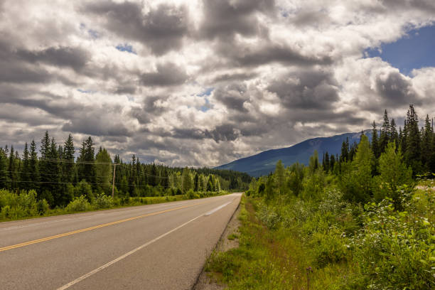 nature sceneries along the E16 highway from Prince George to Banff, Canada summer landscape along the yellowhead highway from Prince George to Jasper, Canada prince george photos stock pictures, royalty-free photos & images