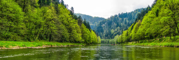 Rafting on the Dunajec River - Pieniny - Poland Rafting on the Dunajec River - Pieniny - Poland szczawnica stock pictures, royalty-free photos & images