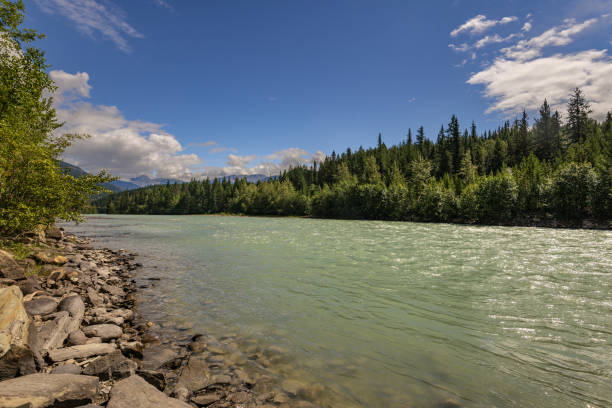 nature sceneries along the E16 highway from Prince George to Banff, Canada summer landscape along the yellowhead highway from Prince George to Jasper, Canada prince george photos stock pictures, royalty-free photos & images