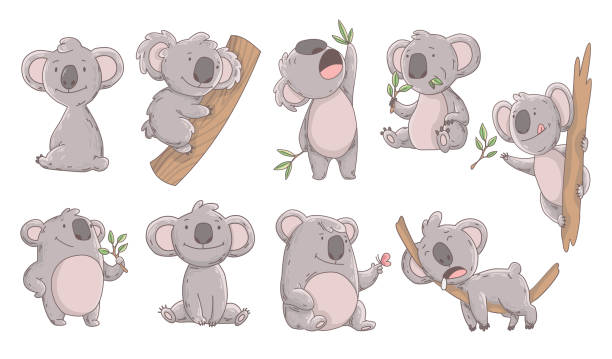 ilustrações de stock, clip art, desenhos animados e ícones de collection cute koala in different poses. hand drawn doodle of lazy animals. cute cartoon bear characters - koala animal love cute