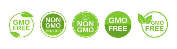 GMO free icons. Non GMO label set. Healthy organic food concept. No GMO design elements for tags, product packag, food symbol, emblems, stickers. Vegan, bio. Vector illustration GMO free icons. Non GMO label set. Healthy organic food concept. No GMO design elements for tags, product packag, food symbol, emblems, stickers. Vegan, bio. Vector illustration. genetic modification stock illustrations